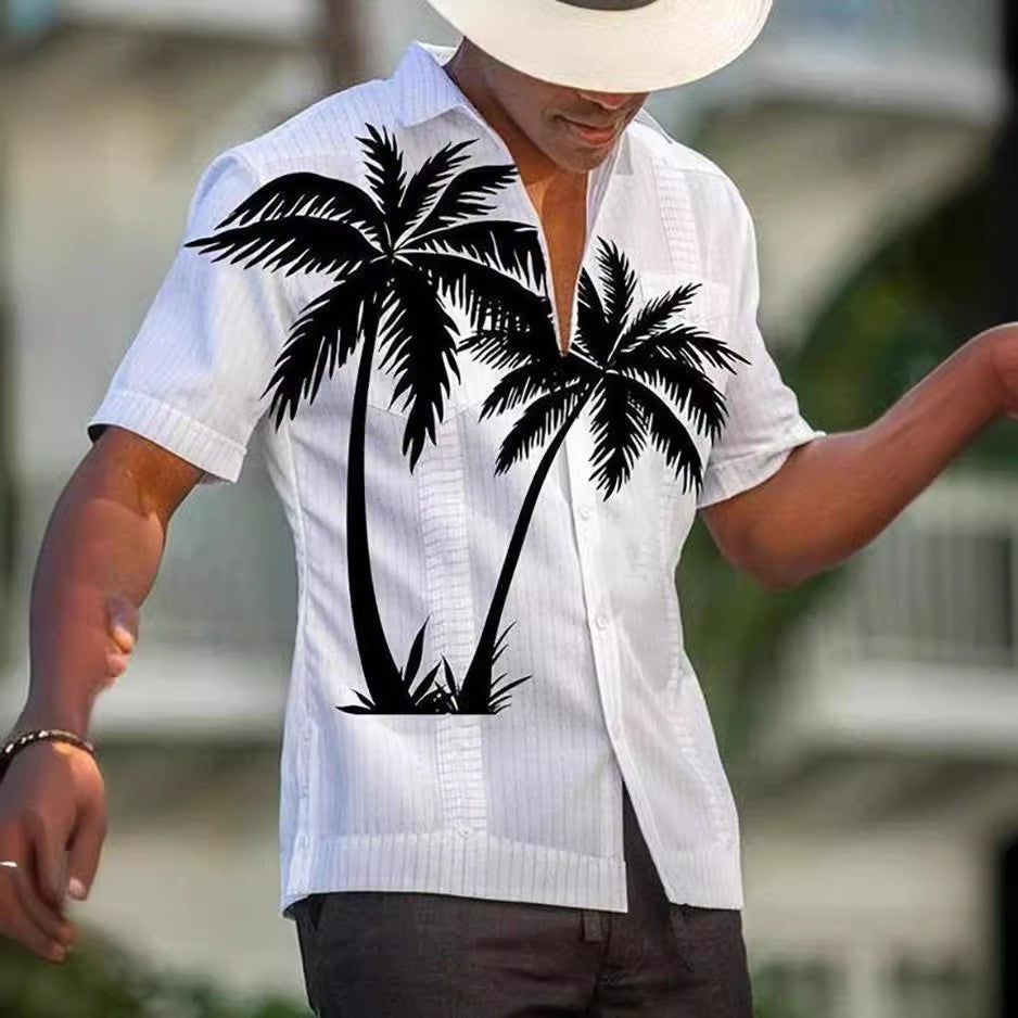 3D Summer Casual